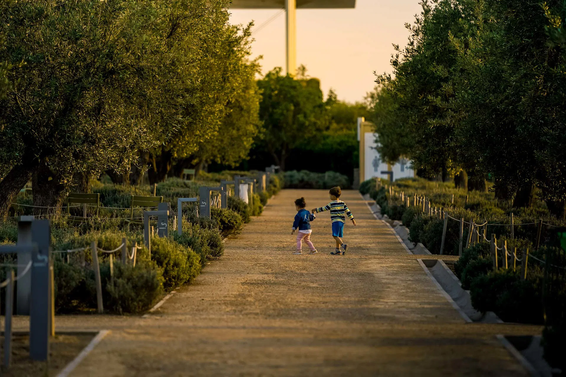 Ίδρυμα Σταύρος Νιάρχος